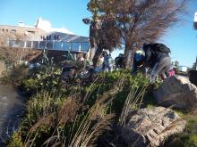 Bénévoles lors de l'enlèvement 