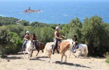 Randonnée équestre avec vue sur l'île d'Or