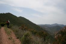 Agent ONF en patrouille dans le massif de l'Estérel